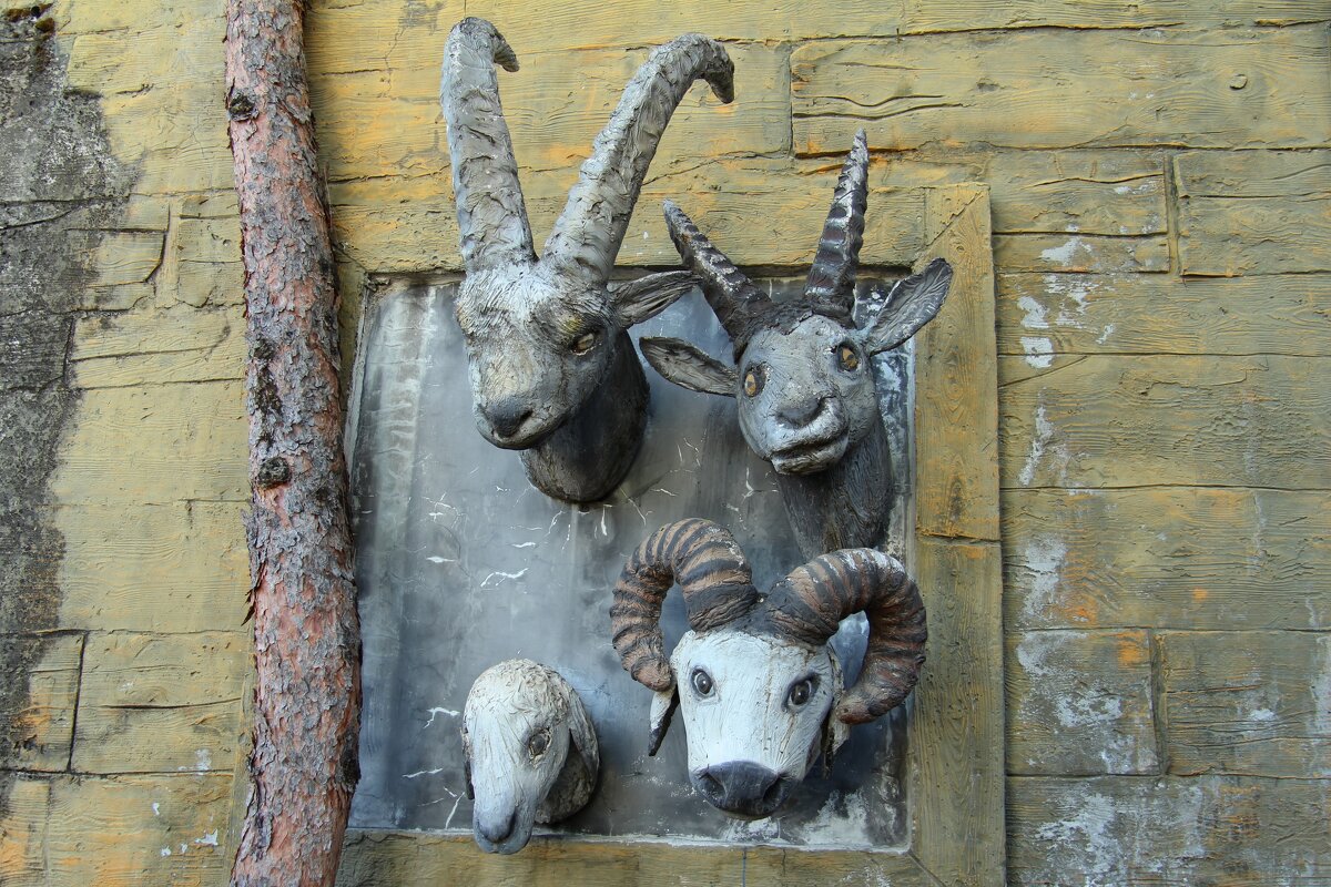 Ноев ковчег - Gen Vel