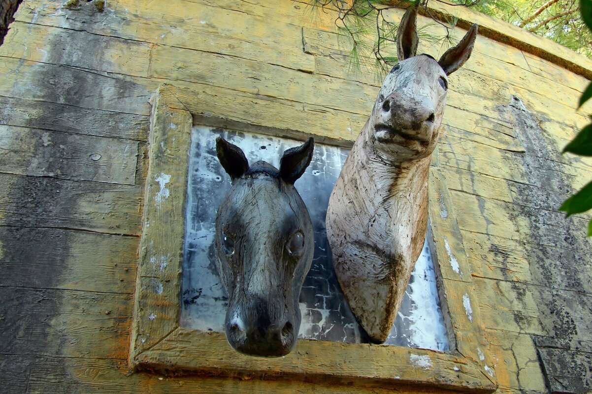 Ноев ковчег - Gen Vel