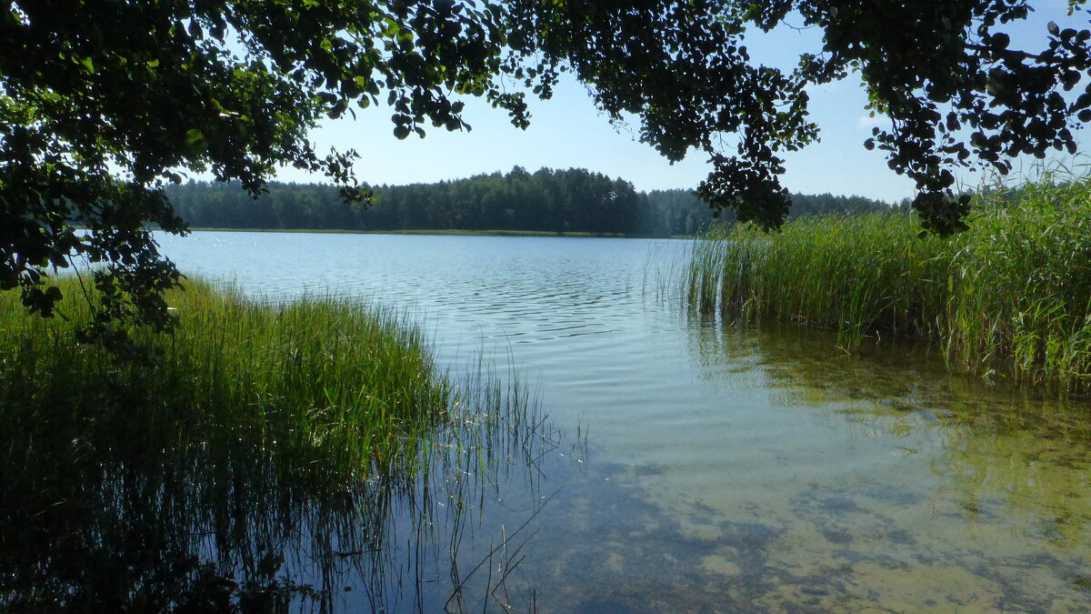 Лето проскокало... - rimgis Лето проскокало... - rimgis