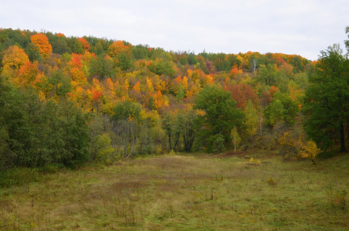 Дыхание осени - Сергей М 