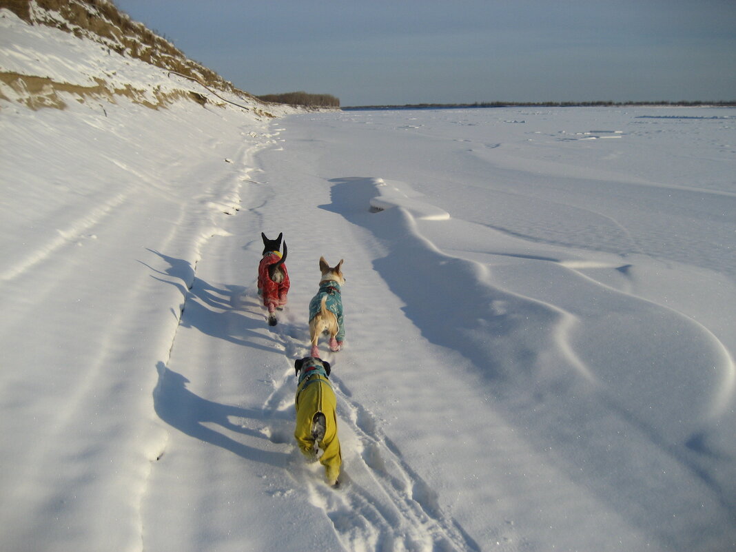 Прогулки - Anna Ivanova Прогулки - Anna Ivanova