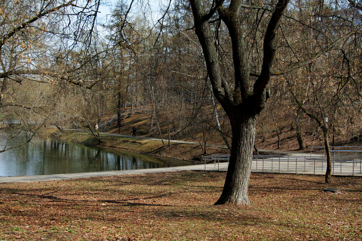 Люблинский парк - Игорь Белоногов