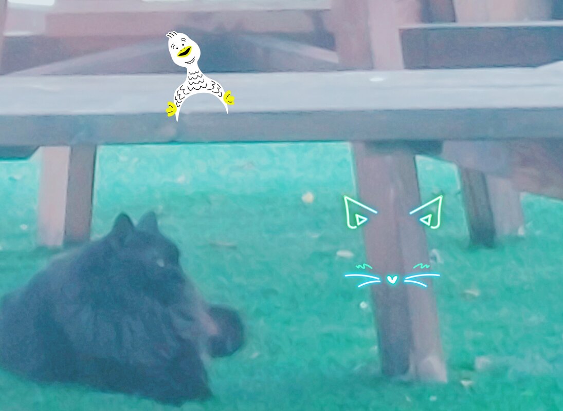 13  ОПЕН (429) - OPEN WAYS ALL