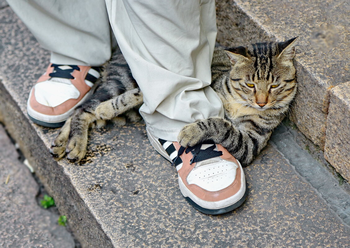 ...чуррррр... мой - Andrey Bragin 