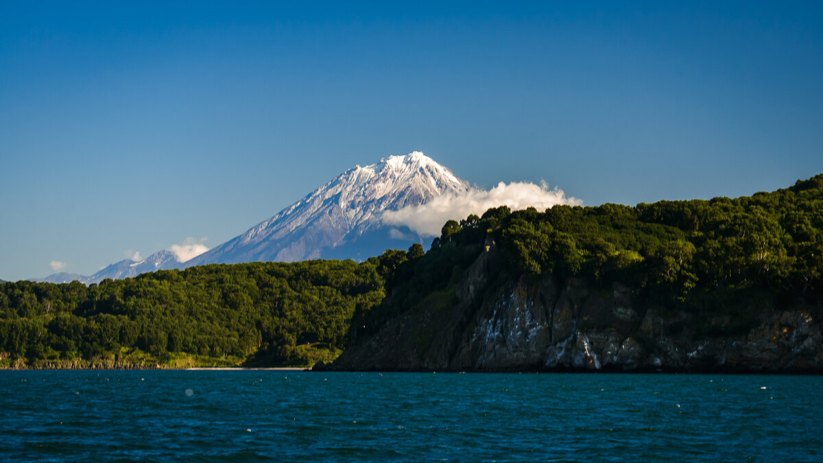 ... - Жора Житников