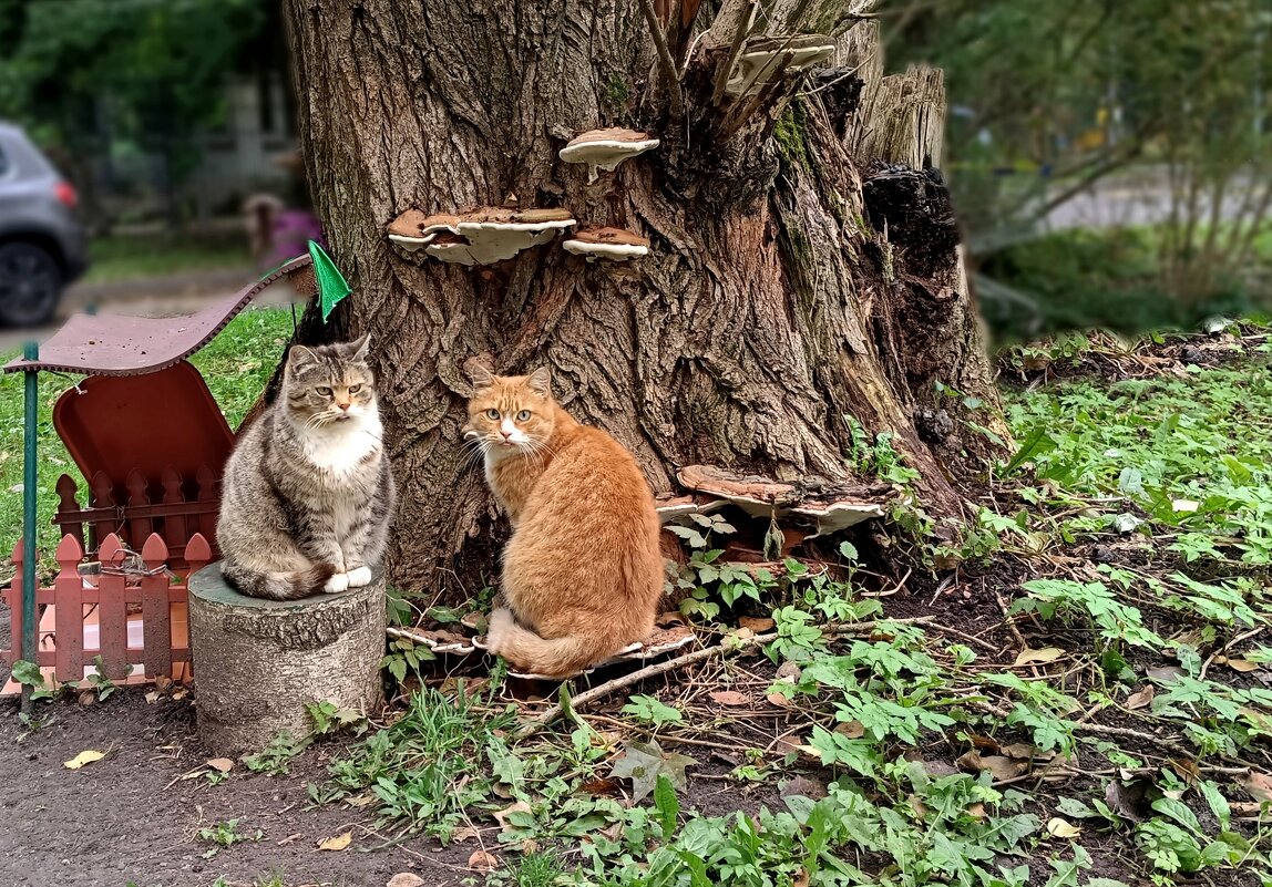 Посидим и поглядим, что дальше будет... - Мария Васильева