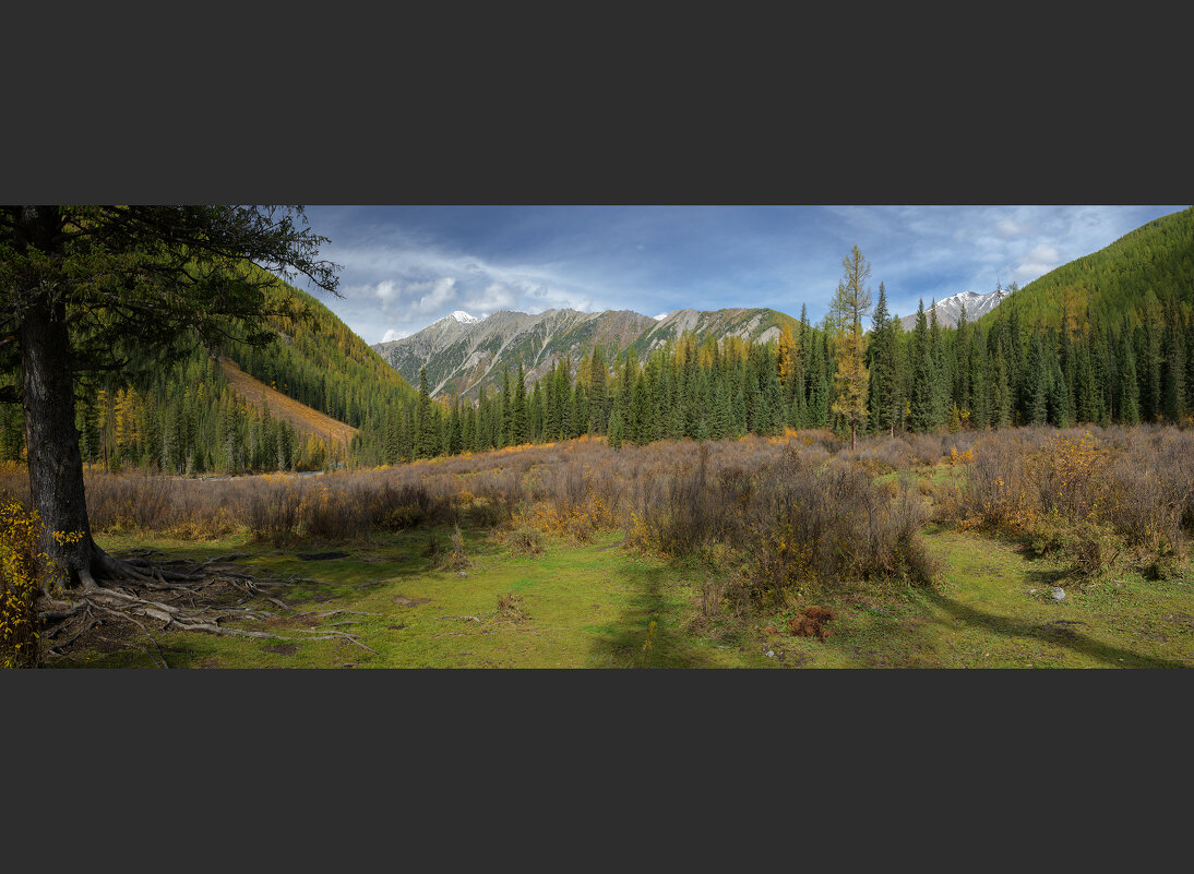 * - Александр Иванов