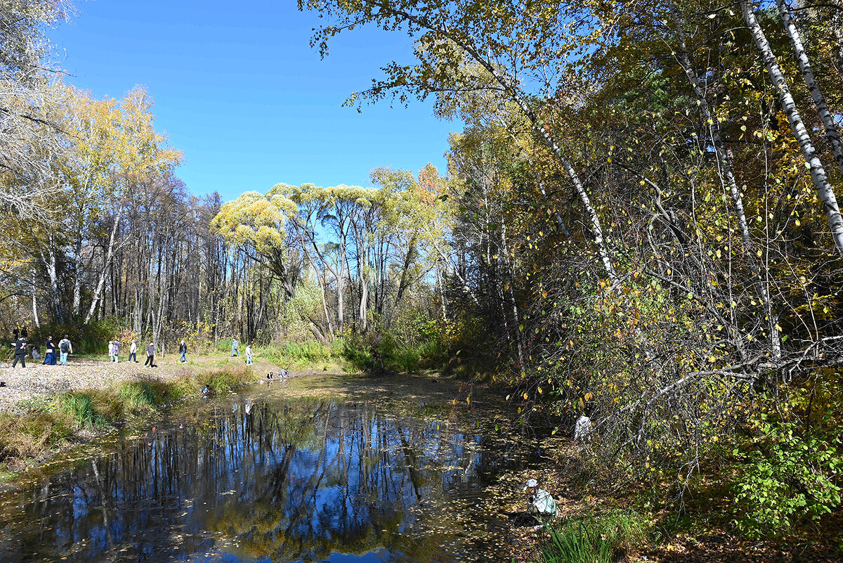 У озерка. - Валерий Медведев
