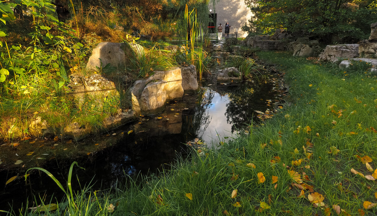 В Парке Хуамин - юрий поляков В Парке Хуамин - юрий поляков