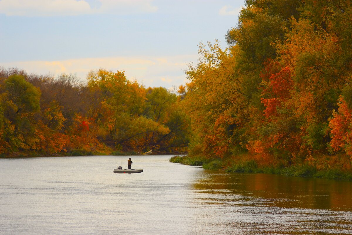 *** - (Владимир С)