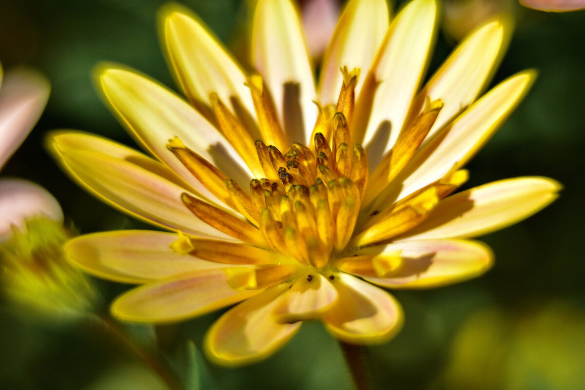 Осеннее - Роман Пацкевич