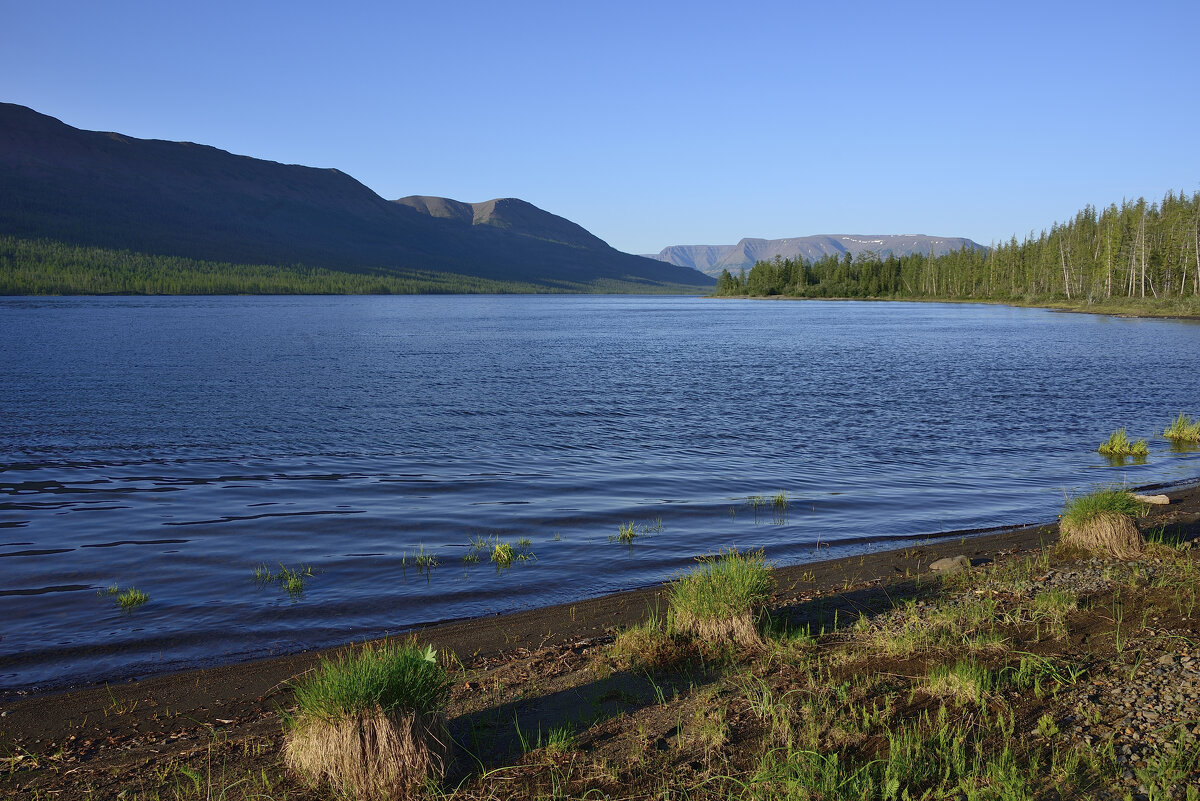 *** - Александр Хаецкий