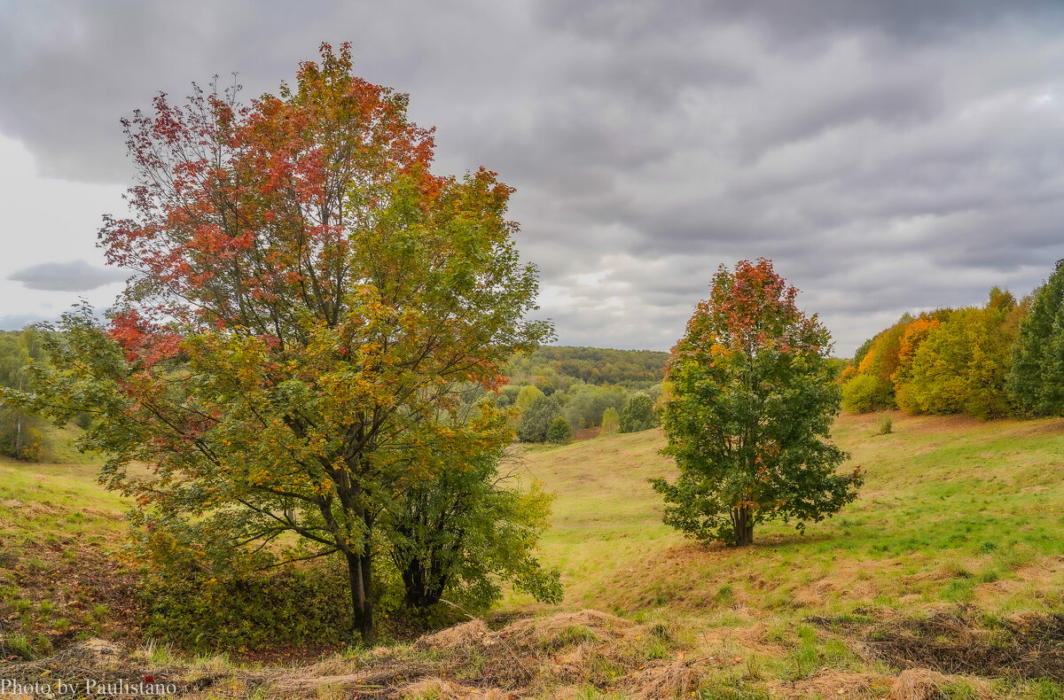 Сентябрь в Царицыно... - Владимир Жданов