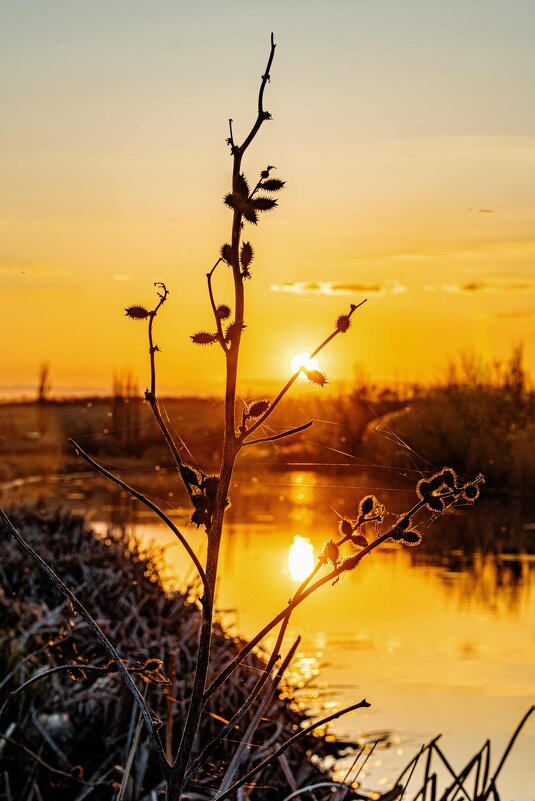 Вечер - Константин Бобинский