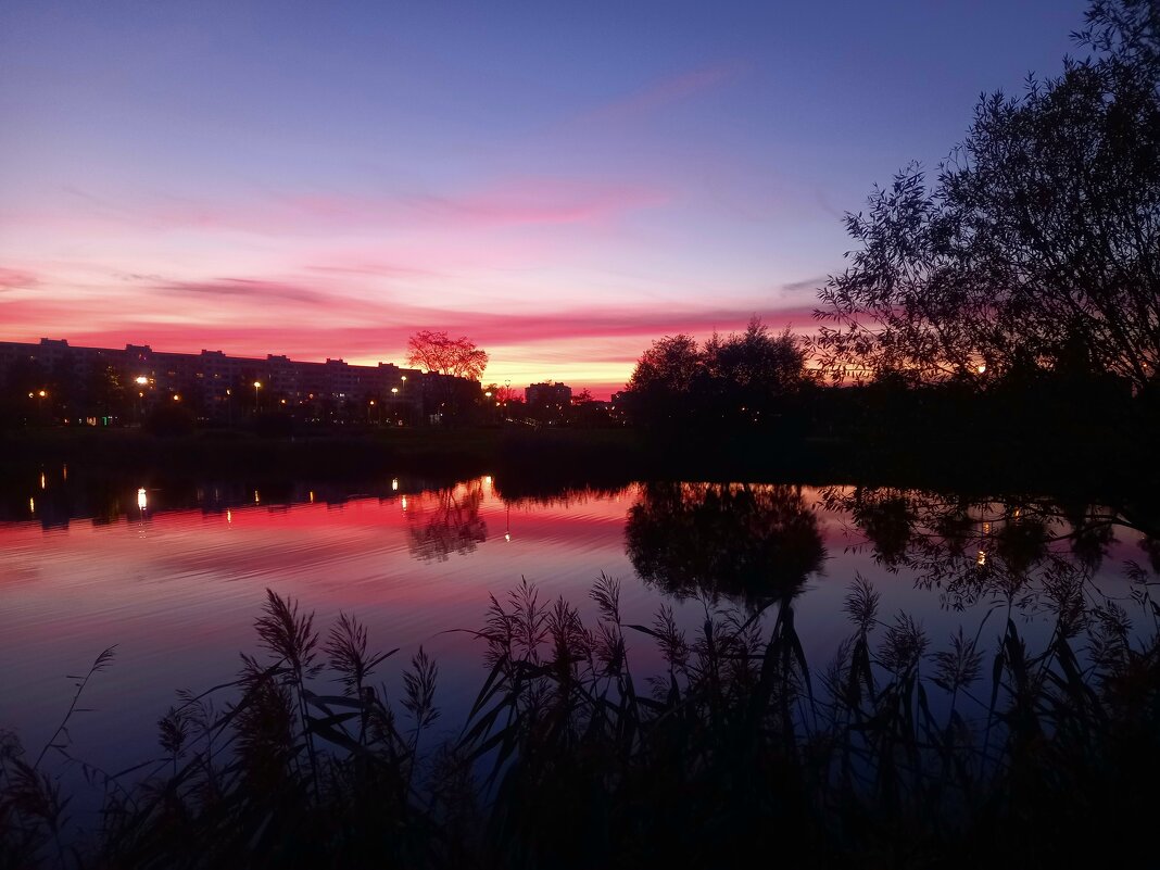 Закат - Сапсан 