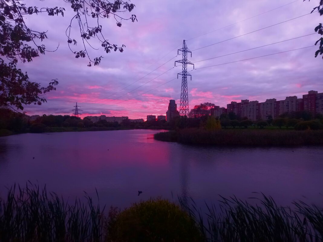 Закат - Сапсан 