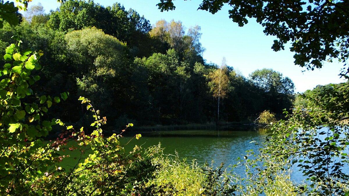 Картинка осени в сентябре. - Милешкин Владимир Алексеевич 