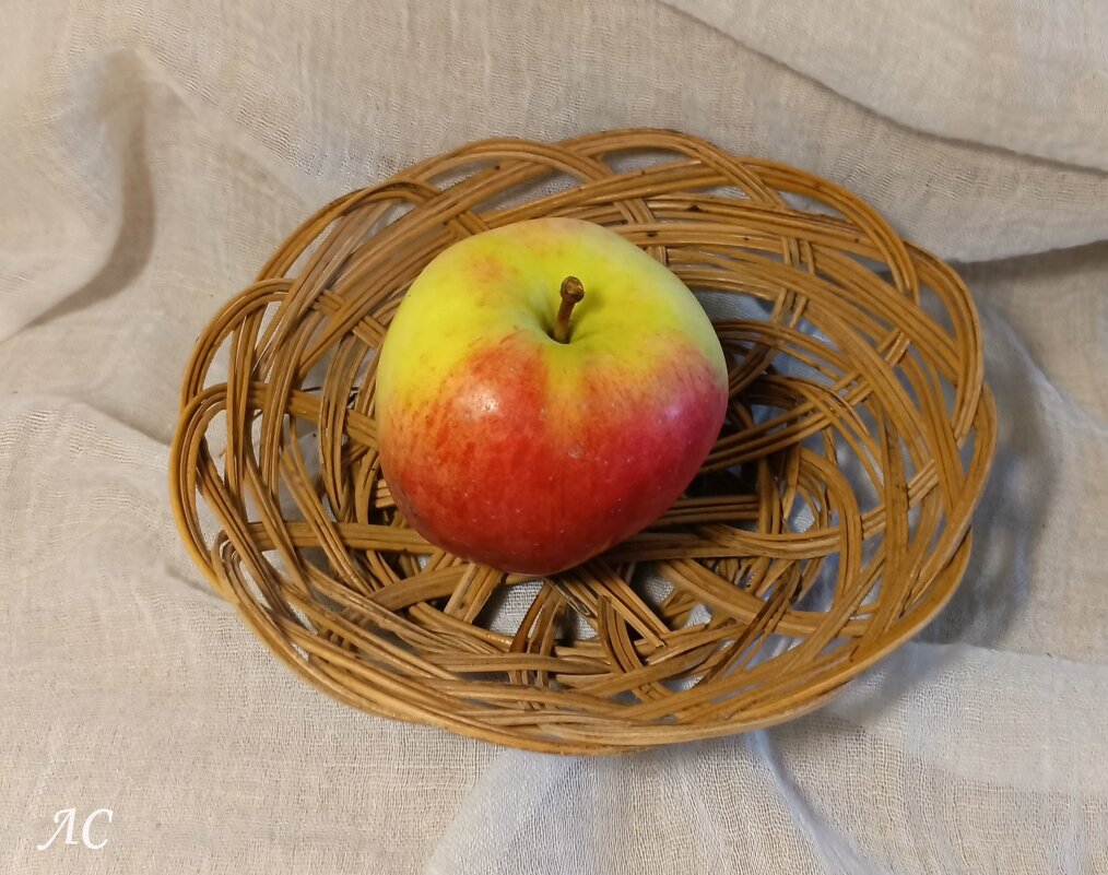 *** - Любовь Сахарова