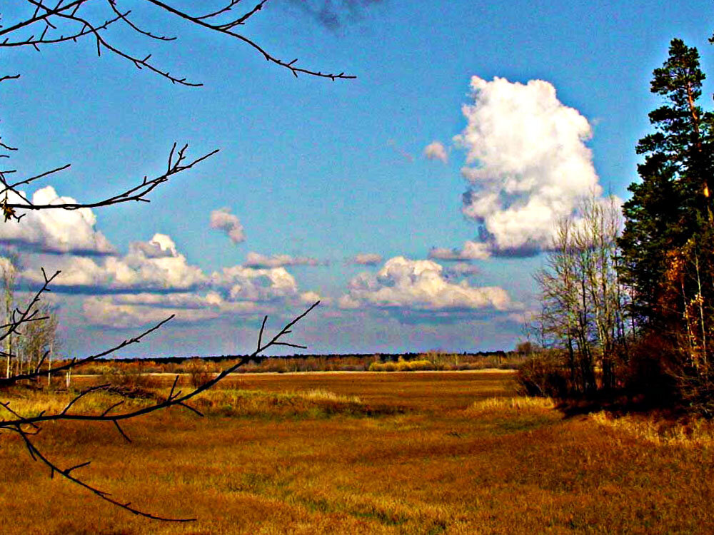 Небесные странники над поймой Сырого Агана! - Владимир 