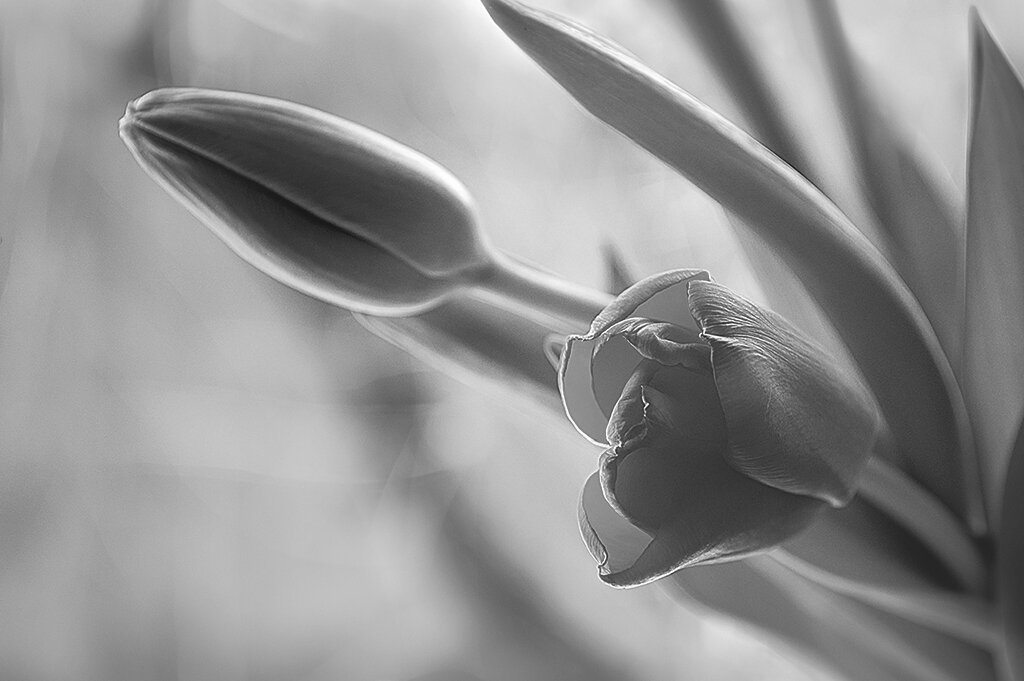 Оттенки - LudMila 