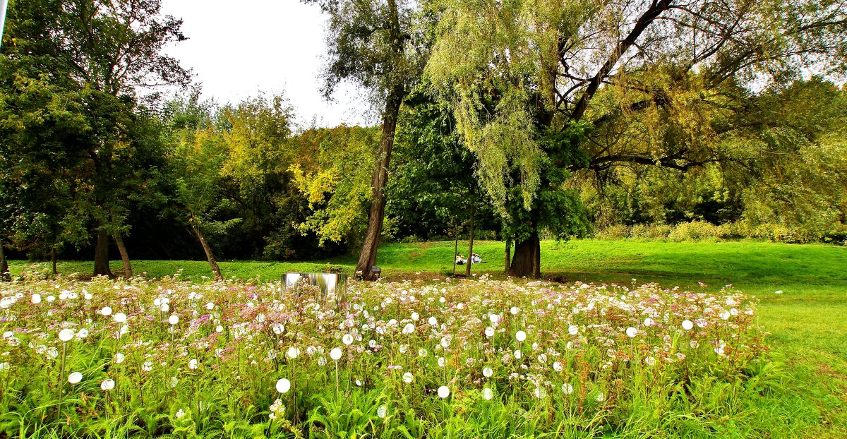 КОЛОМЕНСКОЕ - АЛЕКСАНДР 