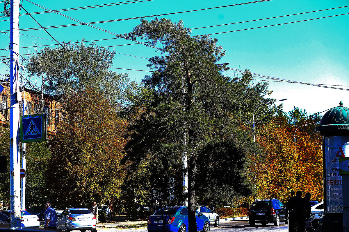 Осенний наряд - Юрий Гайворонскiий