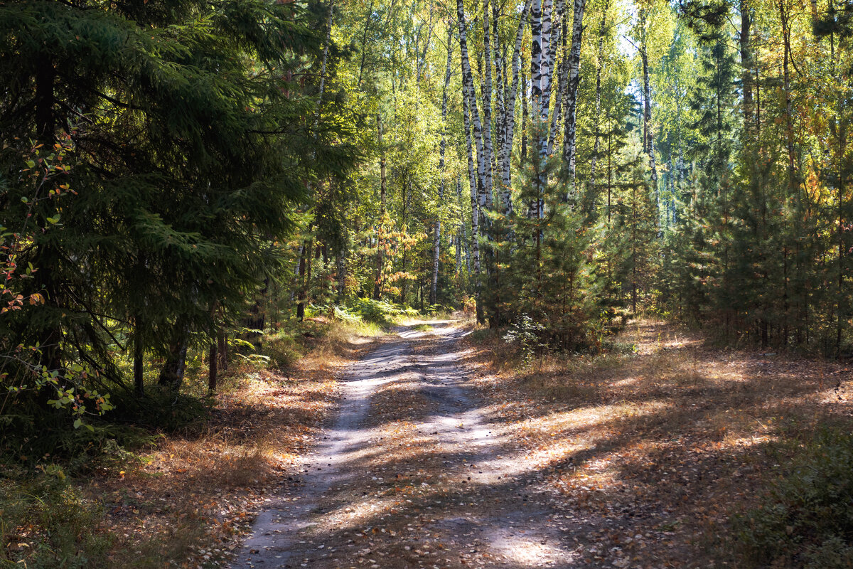 Сентябрь - But684 