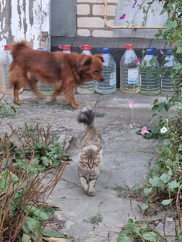 У каждого свои дела :) - Наталья 