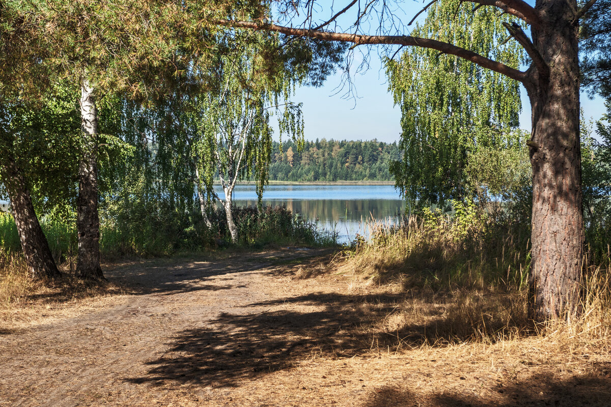 Август - But684 