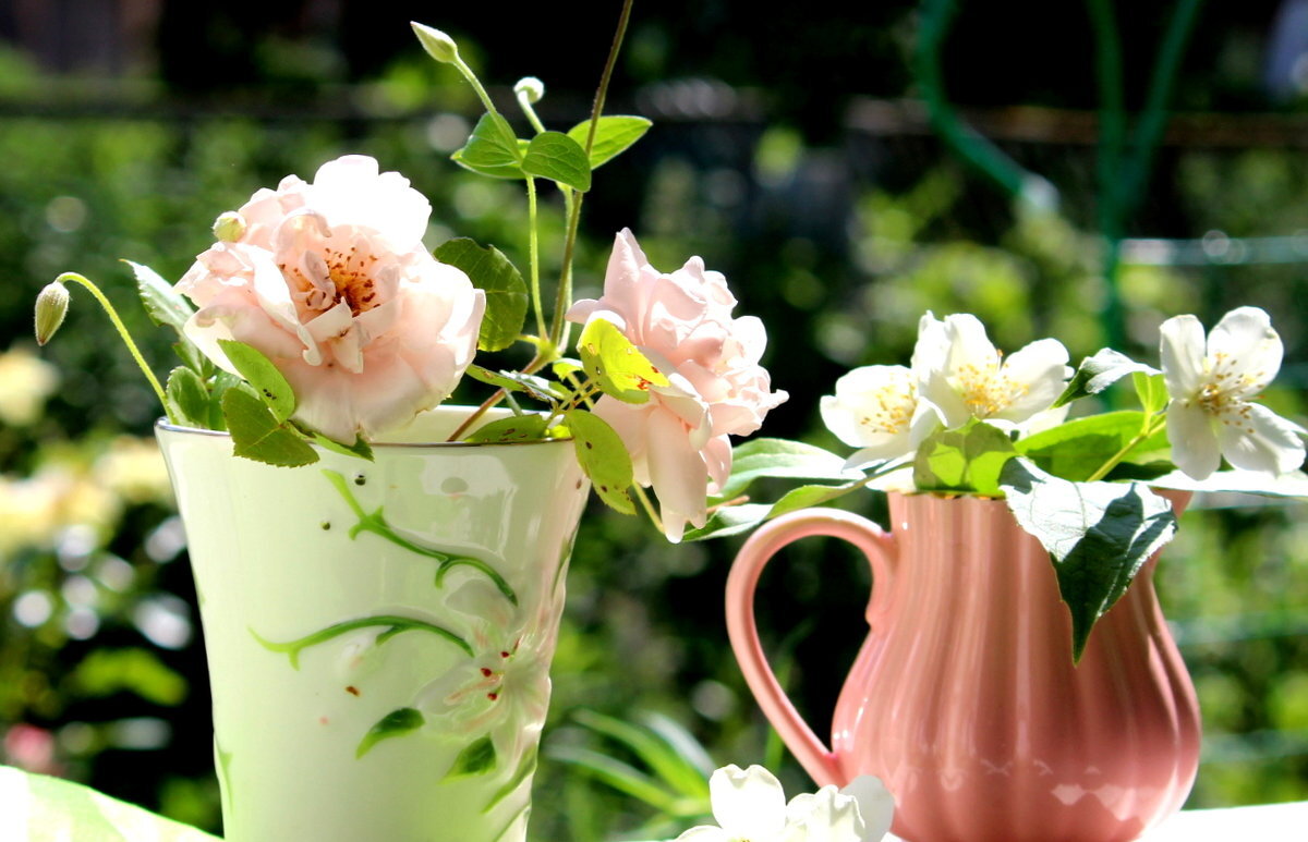 Натюрморт! - жанна нечаева