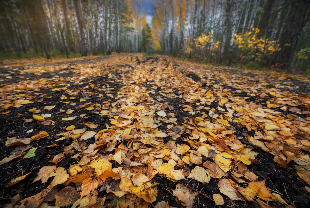 * - Александр Иванов