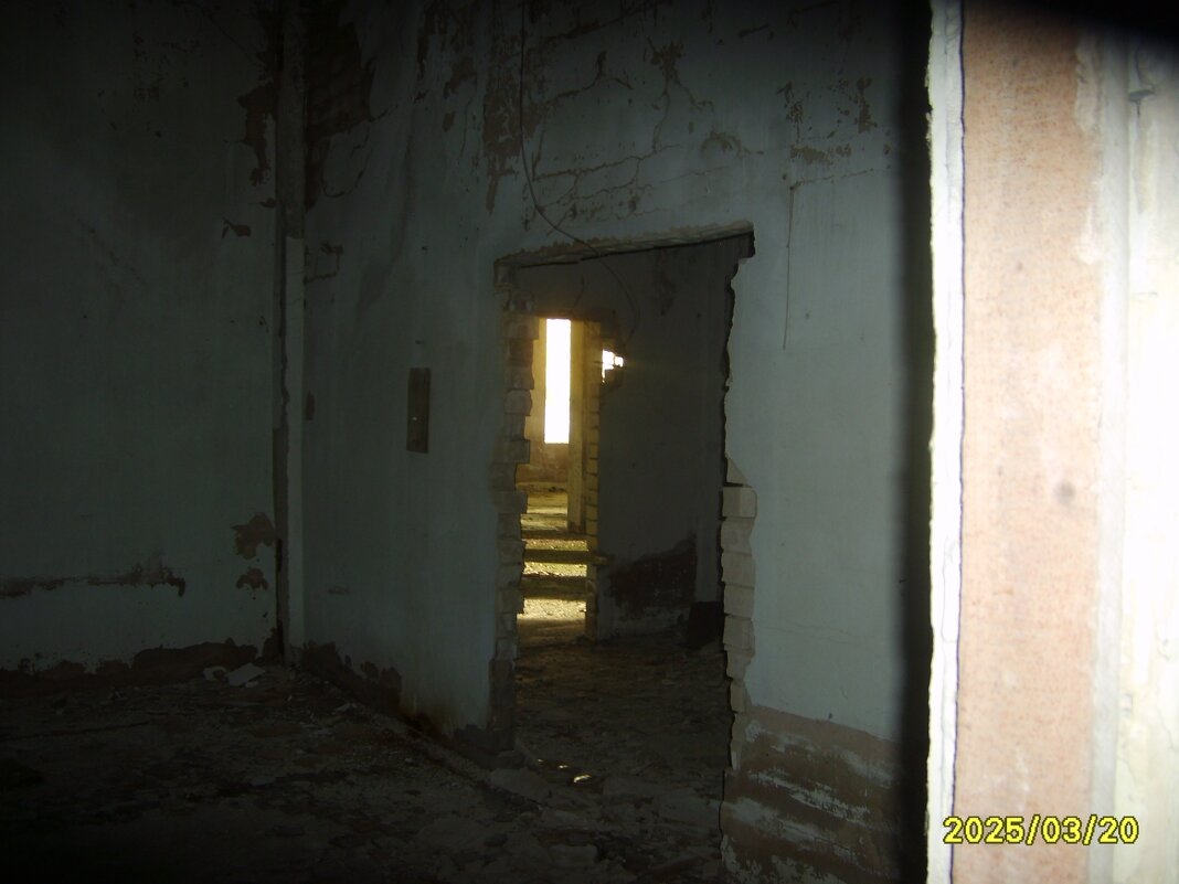 заброшка - fogmeadowww m