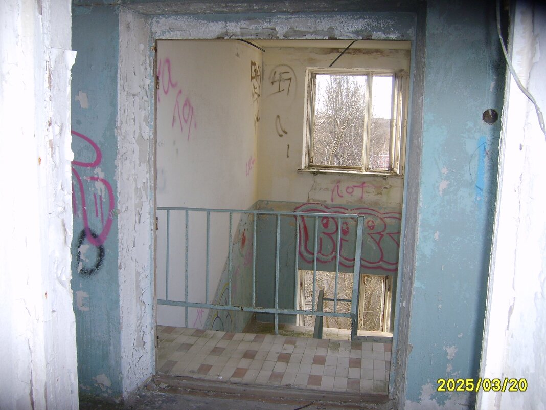 заброшка - fogmeadowww m