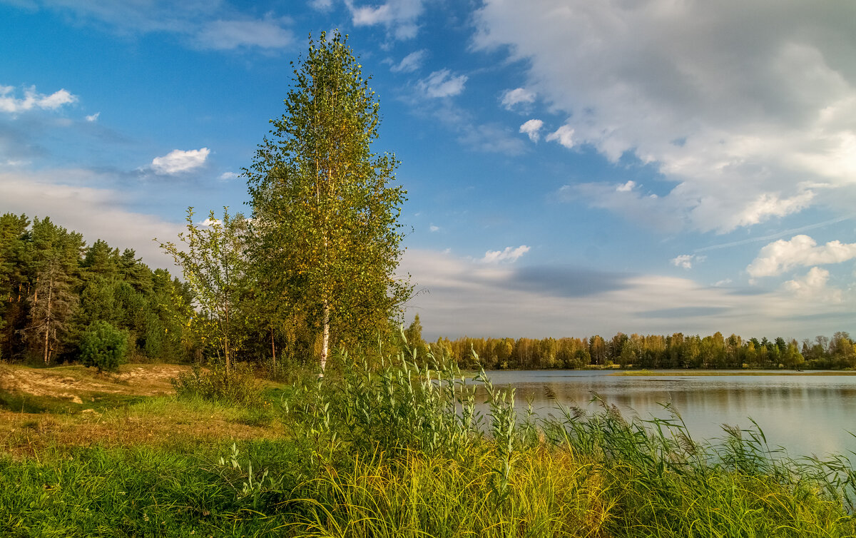 Бабье лето 6 - Андрей Дворников