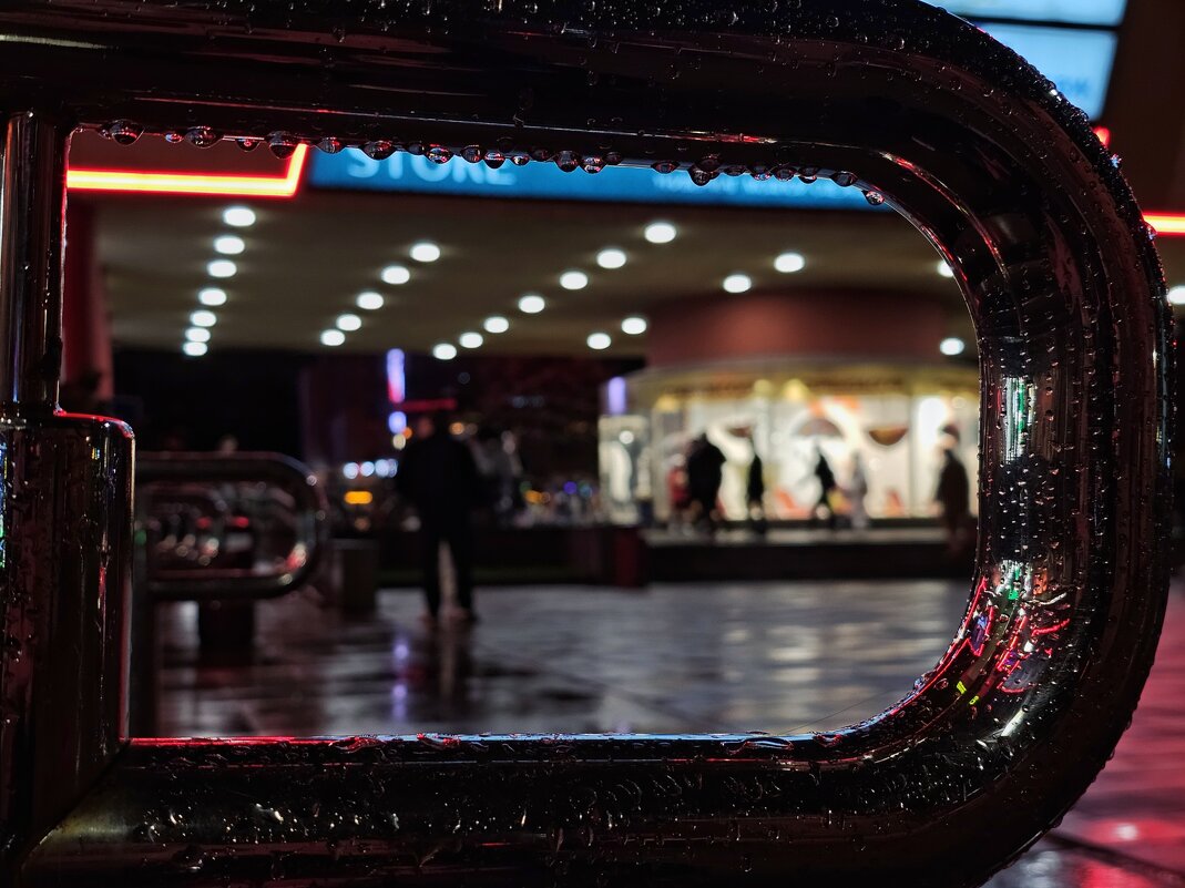 Сверкающий поручень - Мария Яковлева