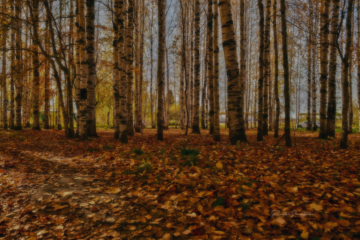 природа - סּﮗRuslan HAIBIKE Sevastyanovסּﮗסּ