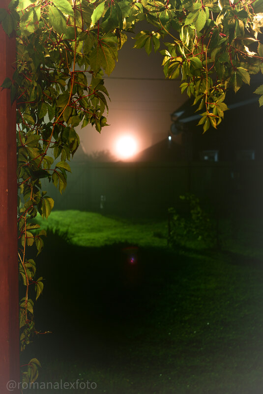 Туман - Роман Алексеев