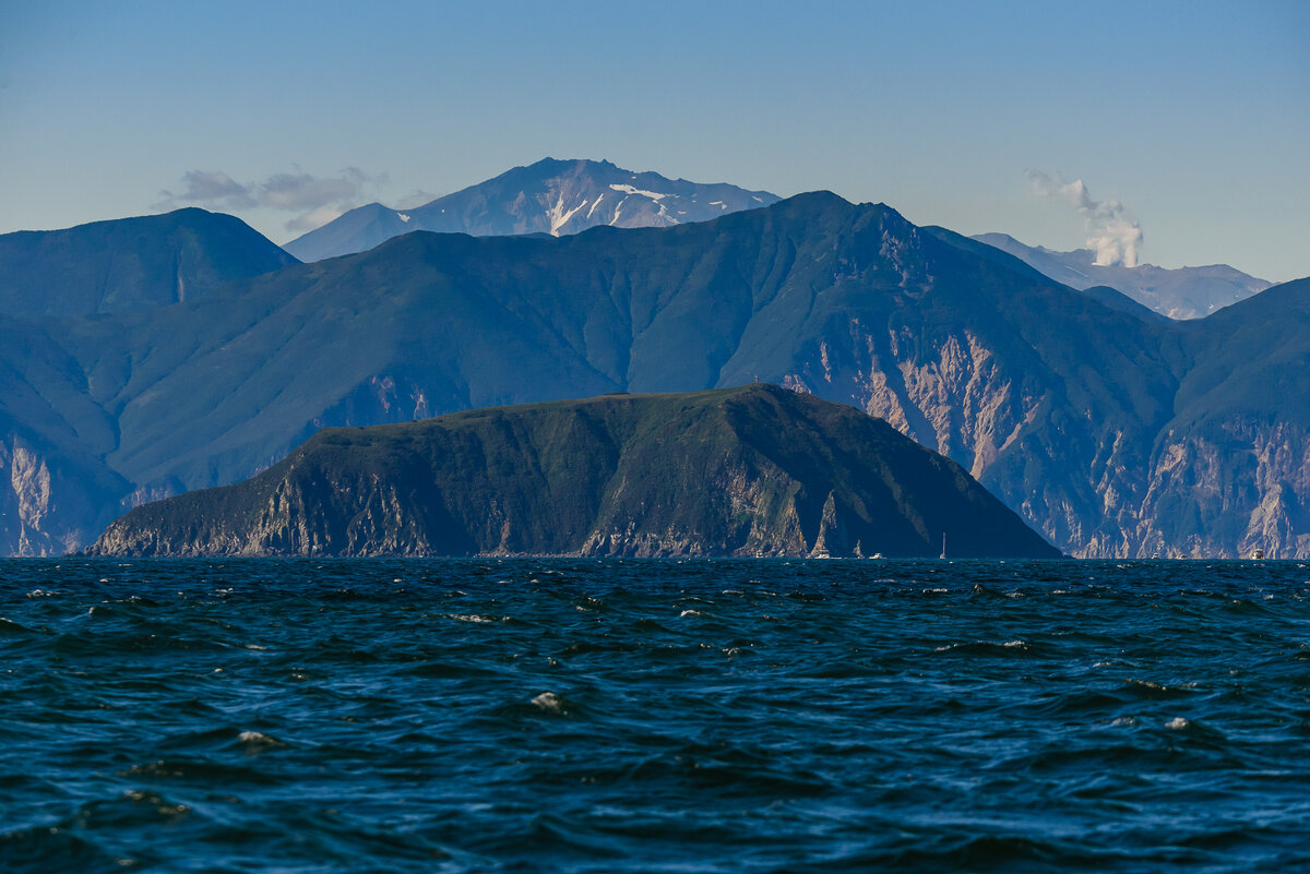 ... - Жора Житников