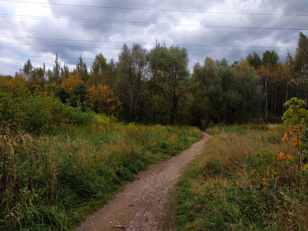 Осень не первоначальная - Андрей Лукьянов