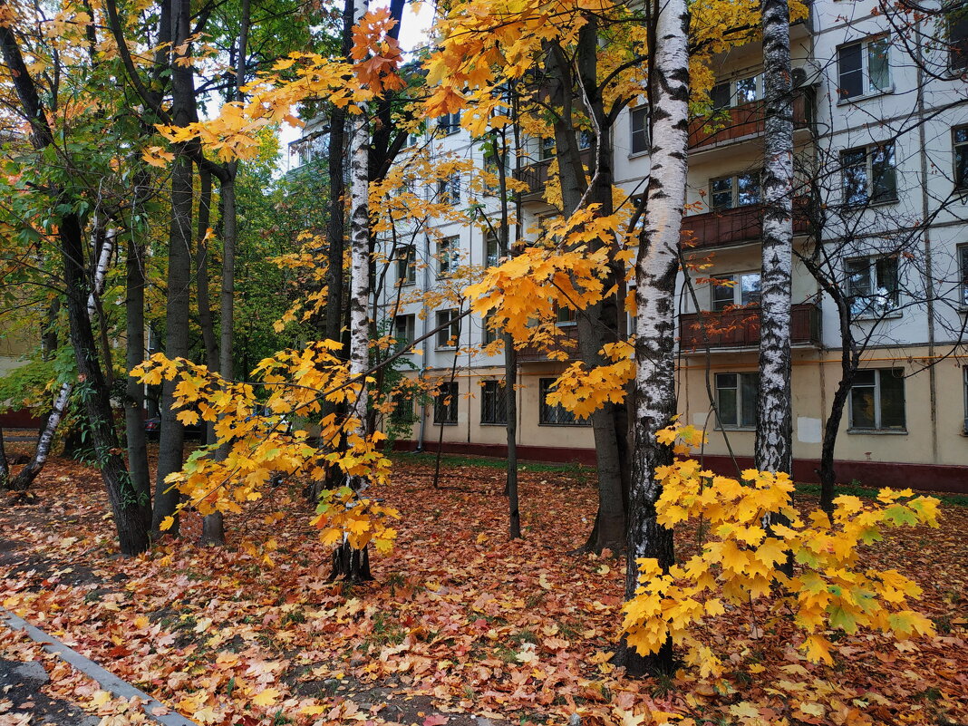 Осень не первоначальная - Андрей Лукьянов