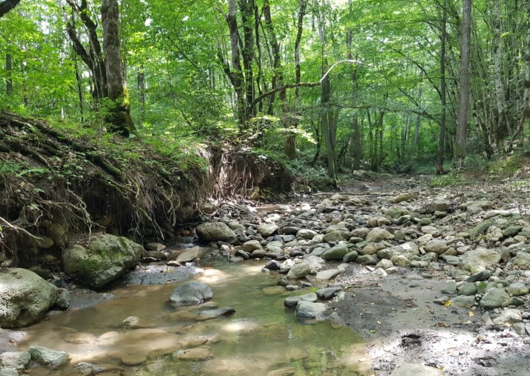 Гуамское ущелье - Tata Wolf Гуамское ущелье - Tata Wolf