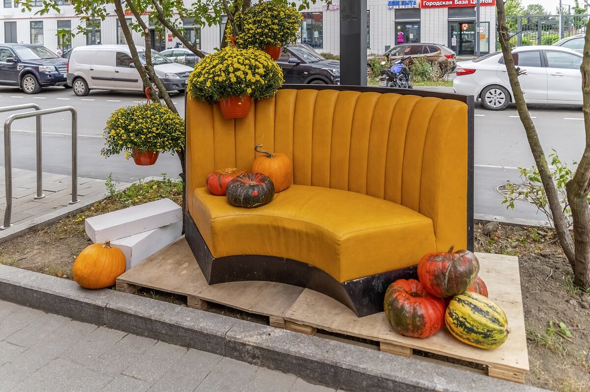 Осенняя фотозона - Валерий Иванович