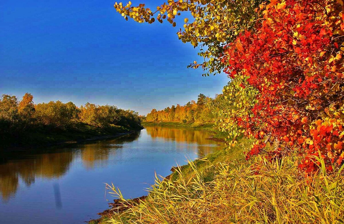 Сентябрь...Калиновая протока! - Владимир Сентябрь...Калиновая протока! - Владимир