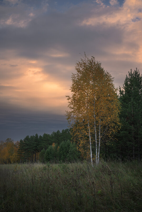 * - Александр Иванов