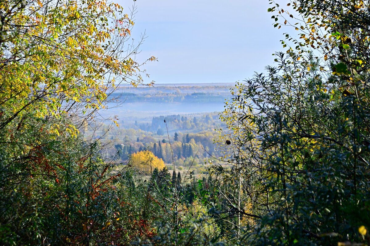 - - Владимир Мигонькин