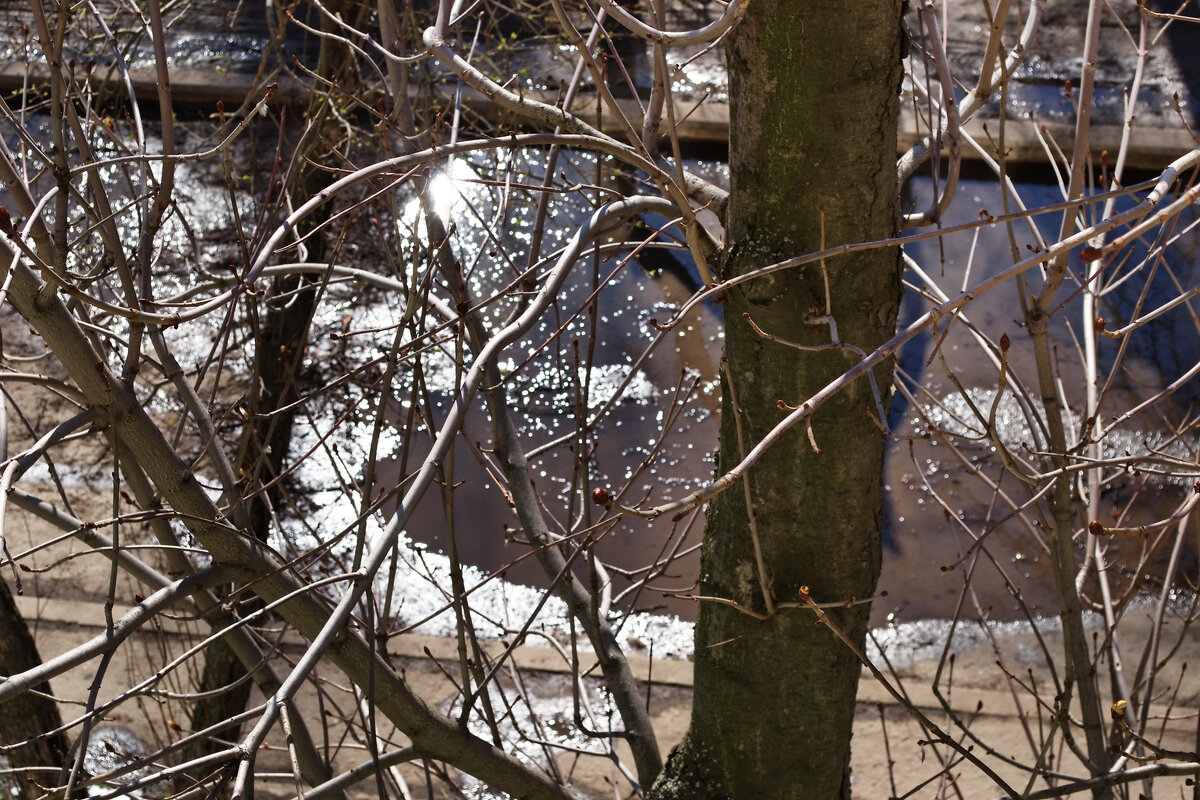 Весна. - Александр Лычагин