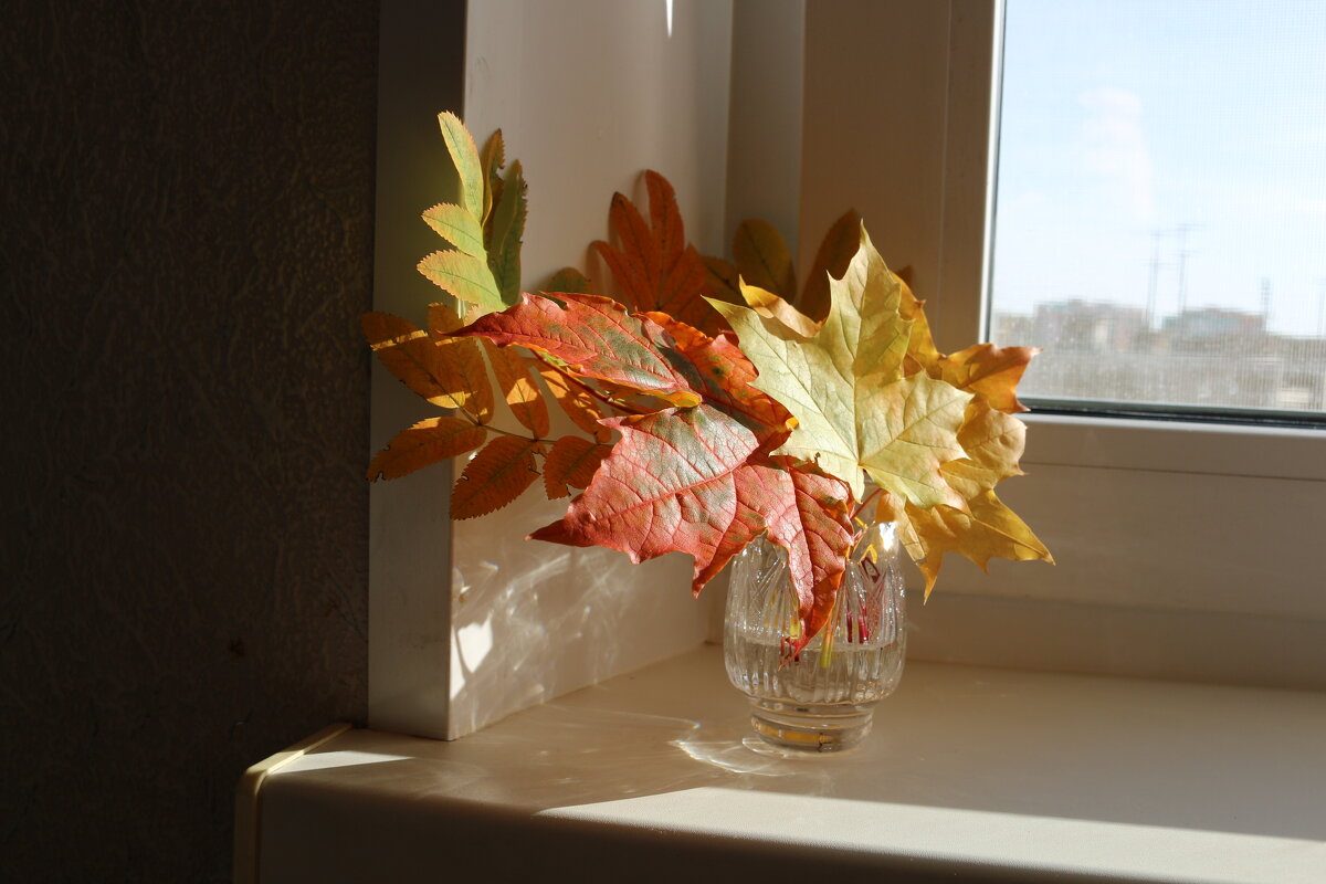 Осеннее настроение - Ольга Осеннее настроение - Ольга