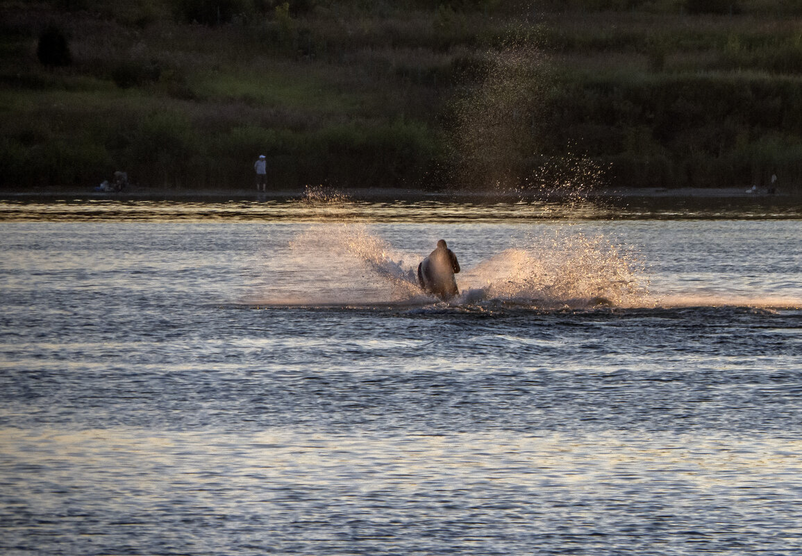 В вихре брызг - Сергей Цветков
