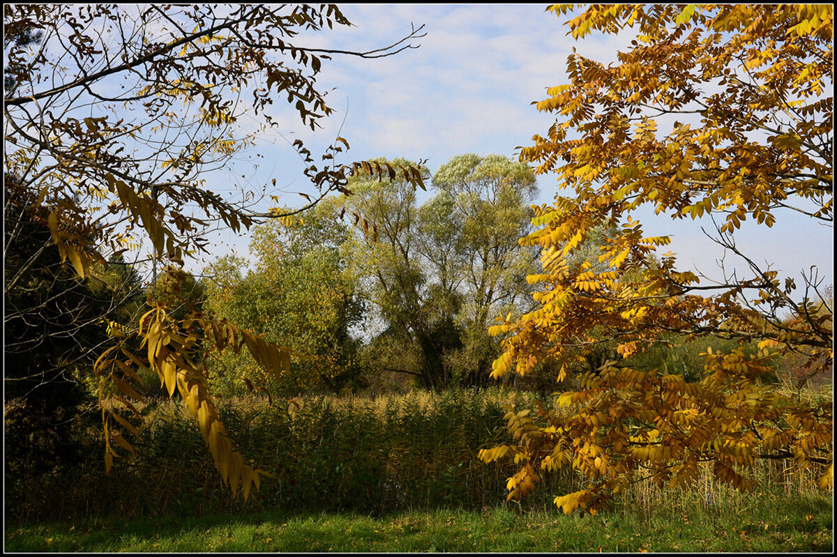 Осень золотая - Aleksandr Gal