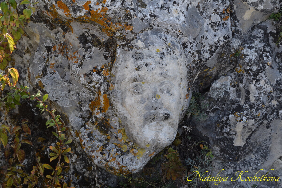 Природа Крыма - Amazing Cosmea